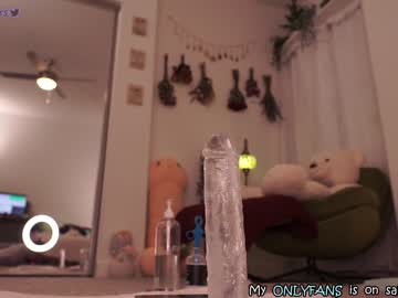 webcam girl evelynpiers live cam image #4713875