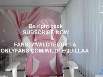 webcam girl wildtequilla live cam image #9483401