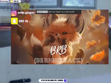 webcam girl ginger_pie live cam image #3860895