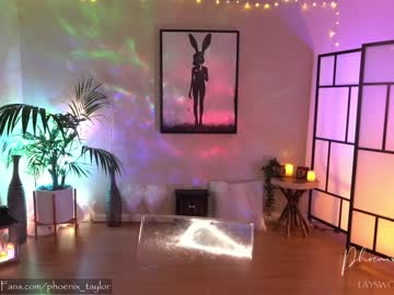 webcam girl phoenix_taylor live cam image #8515328