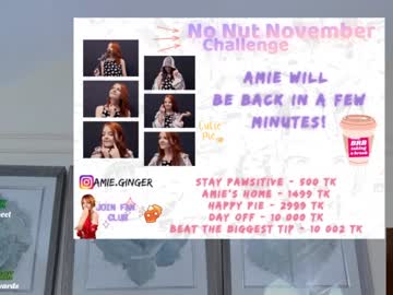 webcam girl ginger_pie live cam image #694718