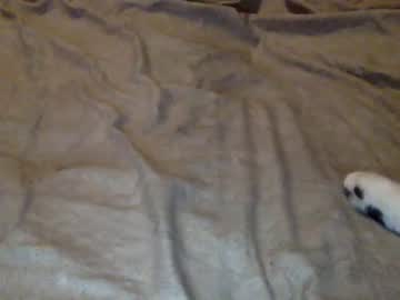 webcam girl kittylady420 live cam image #1140908