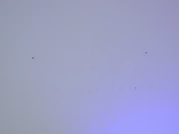 webcam girl sapphirealice live cam image #2636442