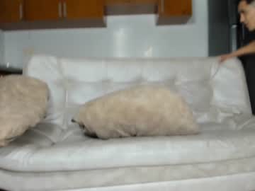 webcam couple wet_dreamm22 live cam image #8589401
