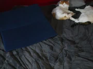 webcam girl elfenemma live cam image #2093093