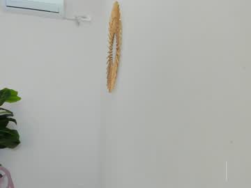 webcam girl asheley_charris live cam image #7953431