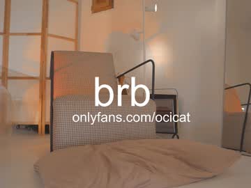 webcam girl ocicat live cam image #10537612