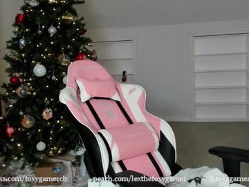 webcam girl foxy_gamer live cam image #1021843