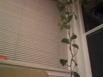 webcam girl bambis_honeypot live cam image #1309045