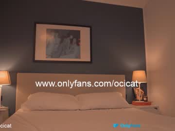 webcam girl ocicat live cam image #4684859