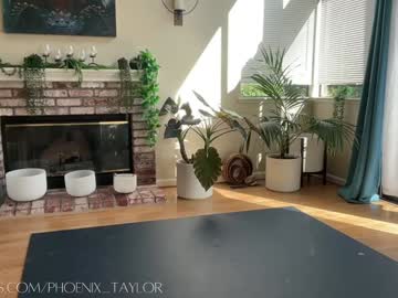 webcam girl phoenix_taylor live cam image #10851005