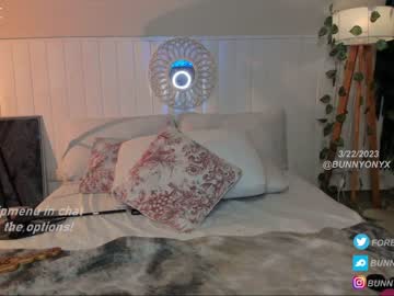 webcam girl bunnyonyx live cam image #5391265