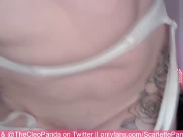 webcam couple pandaworldcb live cam image #481308