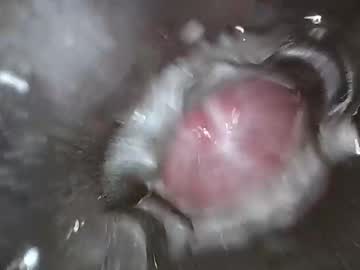 webcam man xoxowtf live cam image #8995307