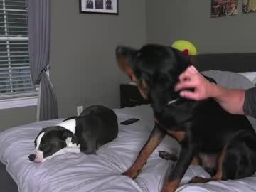 webcam man colbyknox live cam image #10449581