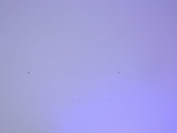 webcam girl sapphirealice live cam image #2895757