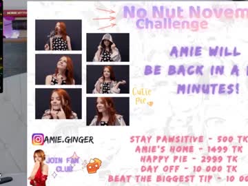webcam girl ginger_pie live cam image #670367