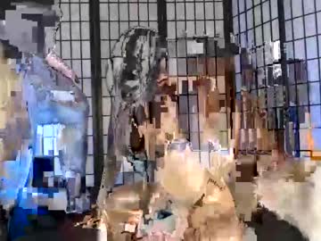 webcam couple dongfatherproductions live cam image #7252505